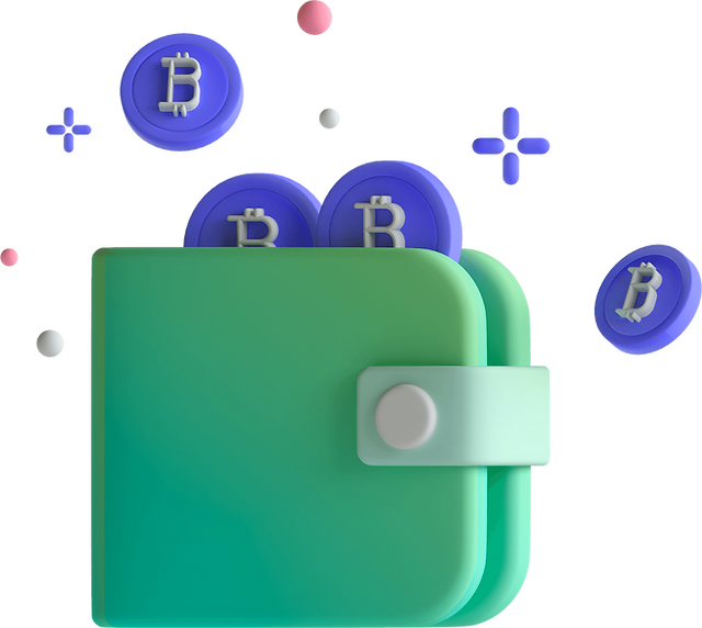 WALLET WALLET